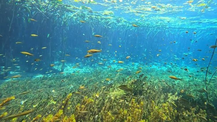 İNSANA YAKIŞIR KULLANILMIYOR