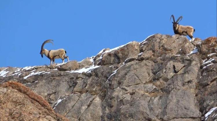 ‘HERKES SAHİP ÇIKSIN’
