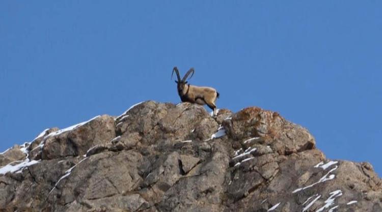 ‘BUNLAR BURANIN GÜZELLİĞİ’
