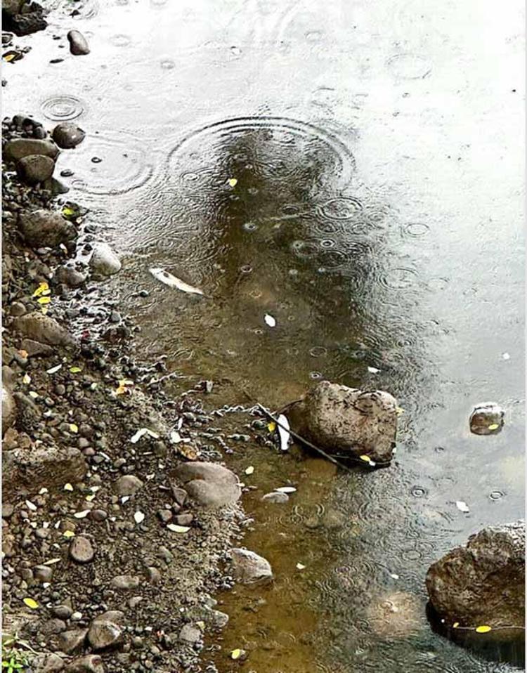 ‘BİR HAFTADIR SU AKMIYOR’