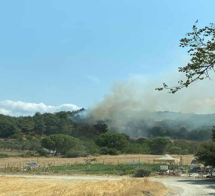 150 ORMAN ŞEHİDİMİZ VAR