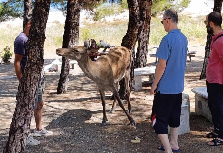 DOĞANIN BİZE SUNDUĞU EŞSİZ AN