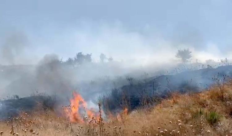 OTLUK VE MAKİLİK ALANLA, BAZI MEVYE BAHÇELERİ ZARAR GÖRDÜ