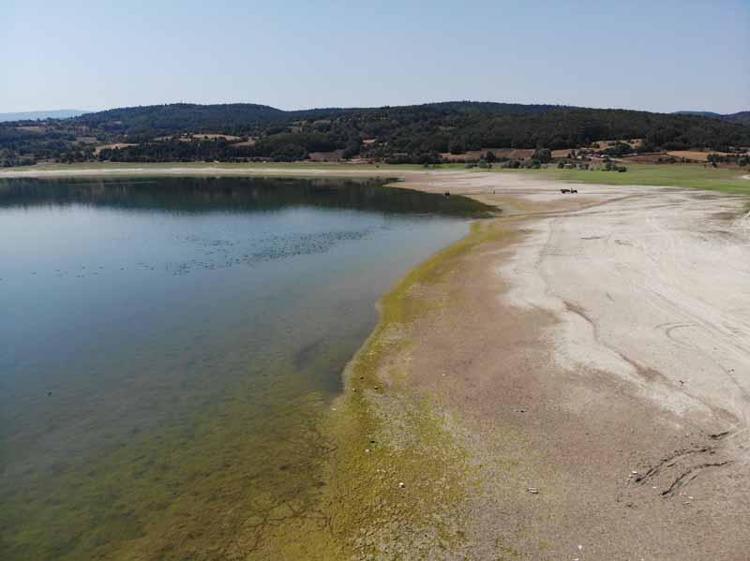 KURAKLIKTAN VAN DA NASİBİNİ ALDI