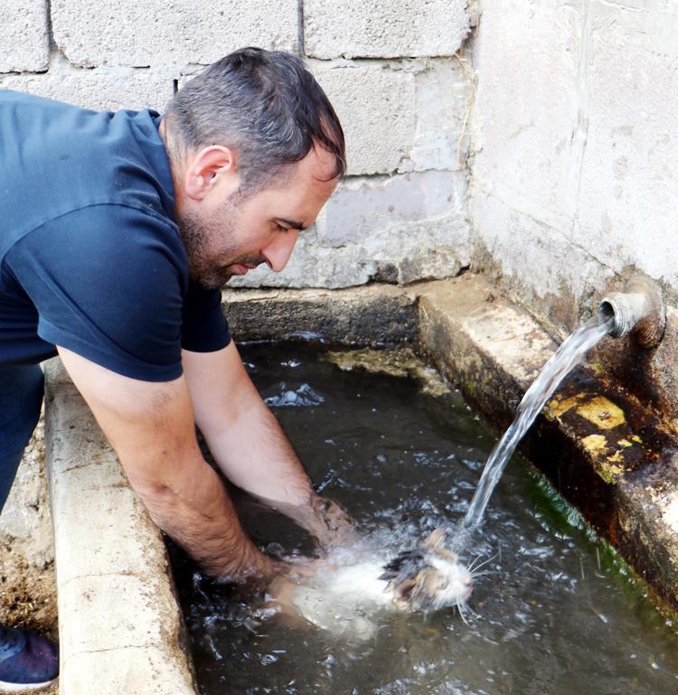 KEDİYİ ÇEŞMEDE YIKADI