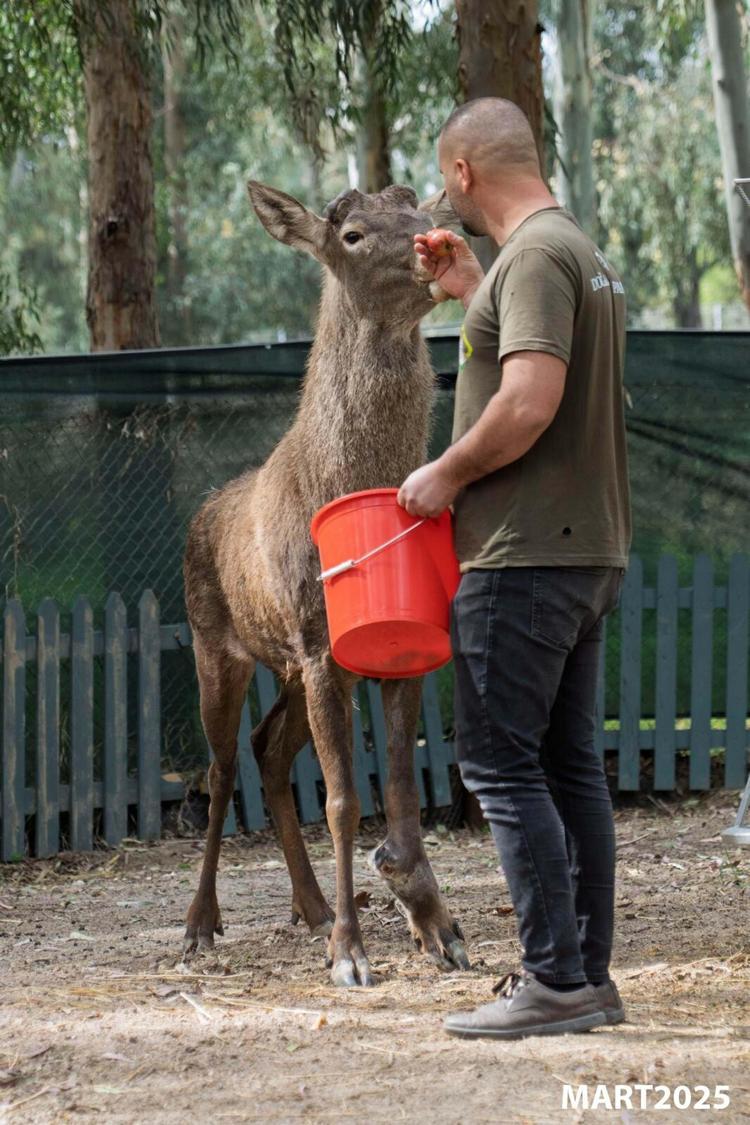 YAŞAM ÖZGÜRLÜKLERİNİ ELLERİNDEN ALMAYALIM