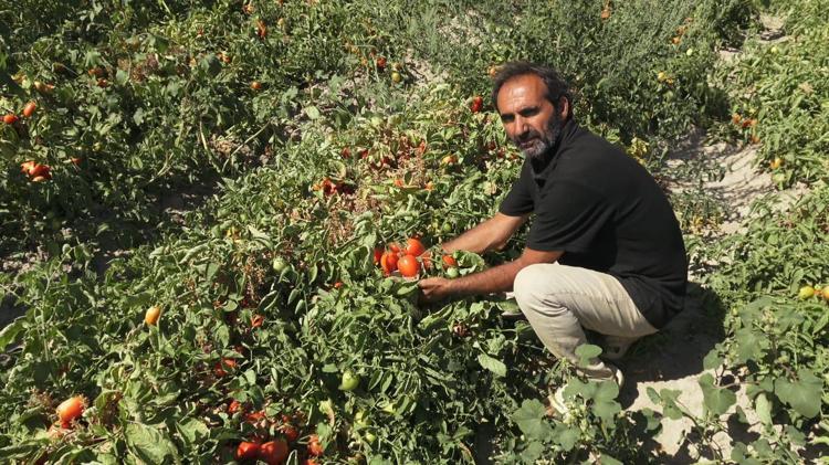 İNSANLARIN ÜRETİME DEVAM ETMELERİ LAZIM