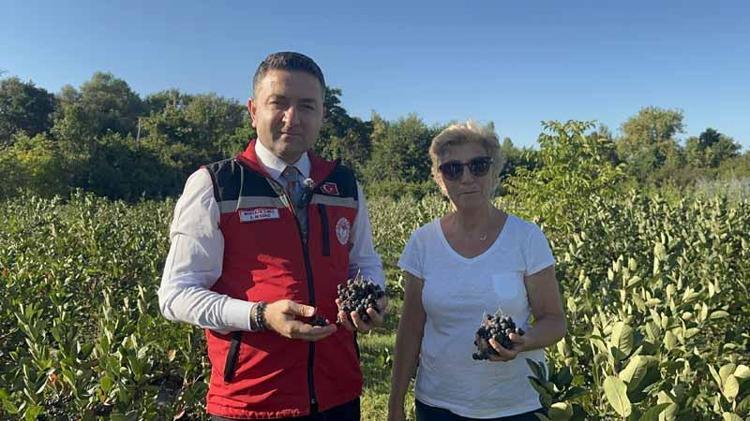 ‘3,5 DÖNÜMDE ÜRETİM YAPIYORUM’