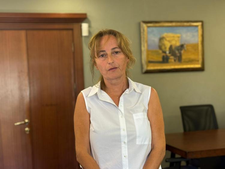 HIZININ YÜKSEK OLDUĞU BELLİ