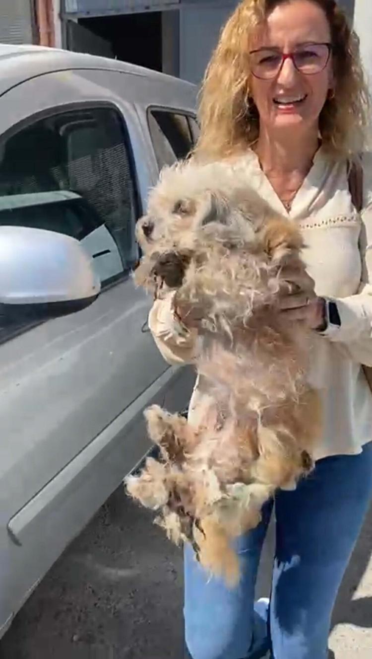 AYNI ADRESE 3ÜNCÜ BASKIN