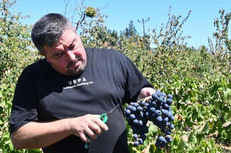 ‘REKOLTE VE KALİTE KAYBININ SEBEBİ KURAKLIK’