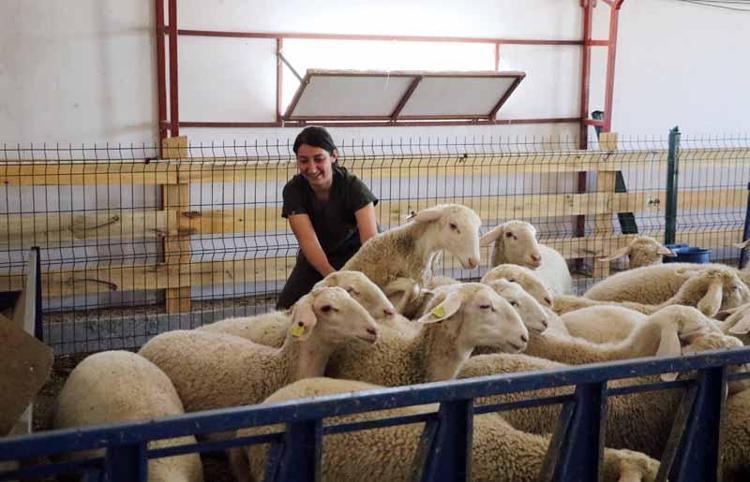 PROJE HAZIRLAMAM 1 YIL SÜRDÜ