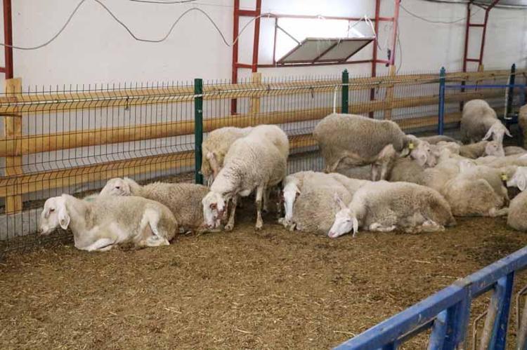 DESTEKLER BÜYÜK BİR KAYNAK