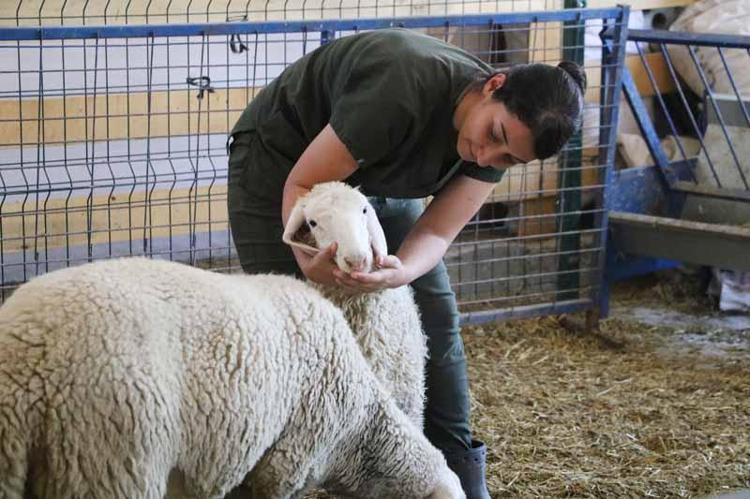 YÜZDE 50 HİBE DESTEĞİ ALDIM