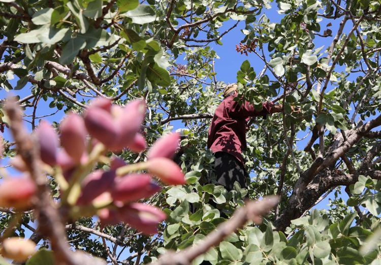 ‘ÜRÜN AZ, FİYAT PAHALI’