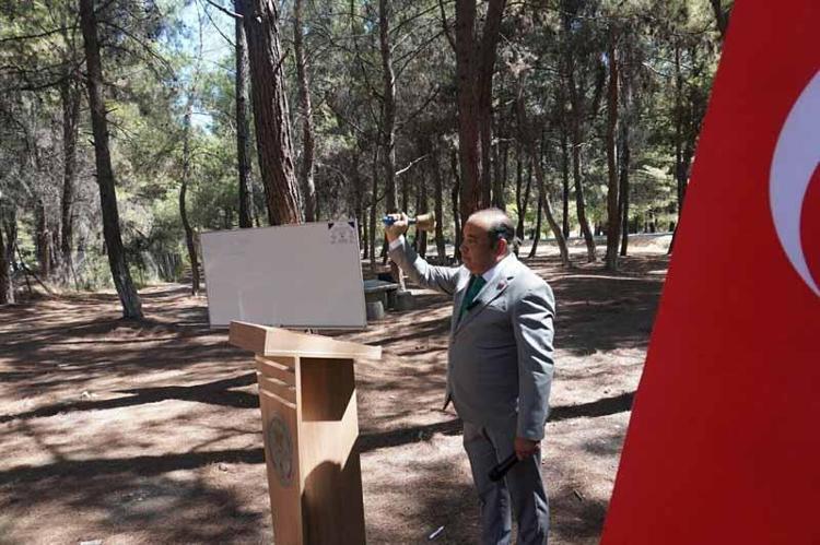 125 AKDENİZ ÇAMI TOHUMU EKTİLER