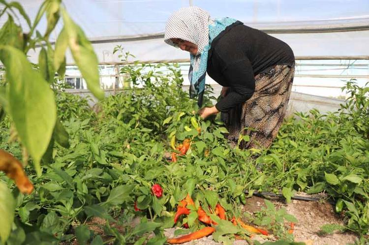 ‘KAYSERİ MUTFAĞINA LEZZET KATIYOR’