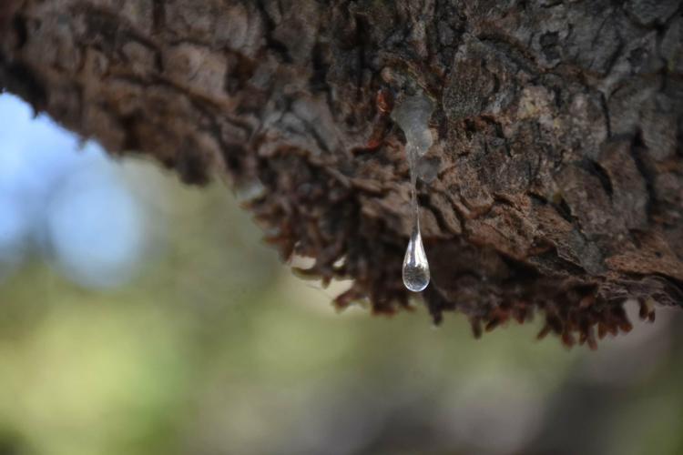TÜRKİYE DÜNYA PAZARINDAN PAY ALMAYA BAŞLAR