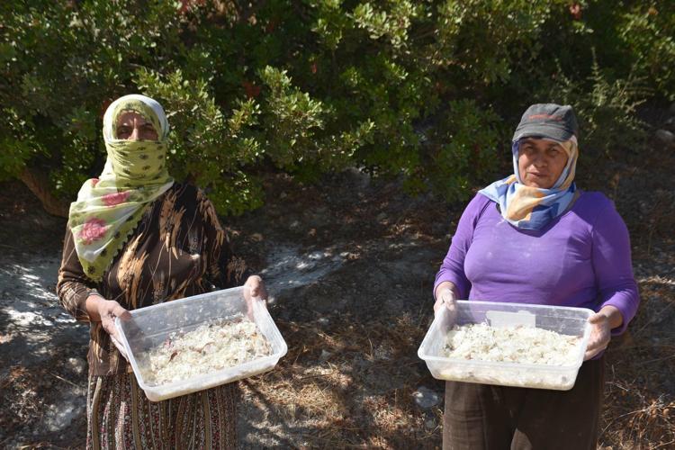 EN BÜYÜK PROBLEM ARAZİ