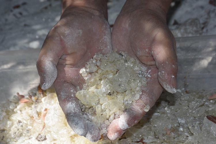 SAKIZIN KATMA DEĞERİNİ YÜKSELTEBİLİRİZ