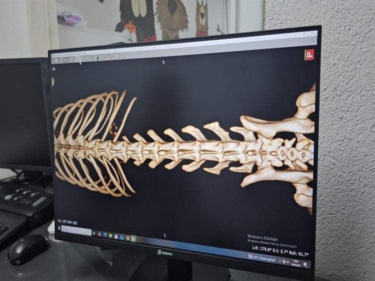 ‘YEMEĞİNİ UZAĞA KOYARAK, AVLANMA İÇGÜDÜSÜNÜ HAREKETE GEÇİRDİK’