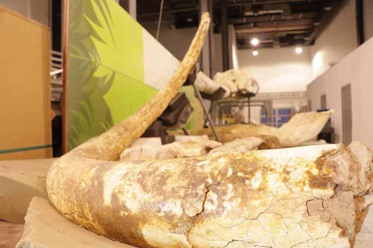 ‘BU SENE ÇOK VERİLMLİ BİR SENE OLDU’