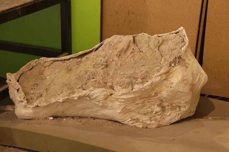 ‘3 TANE FİL KAFATASINI 3 FARKLI NOKTADA KEŞFETTİK’