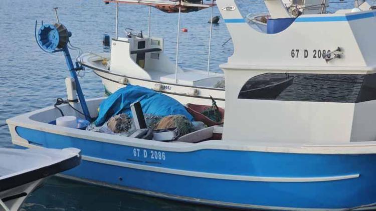 ‘EKİM VE KASIMDA HAMSİ BOL OLACAK’