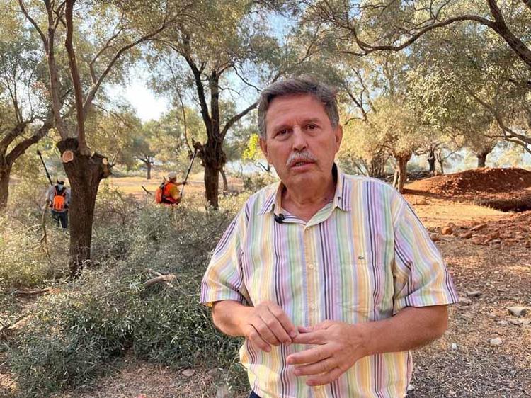 ZEYTİN AĞAÇLARINI YAŞATMAK İSTİYORUZ