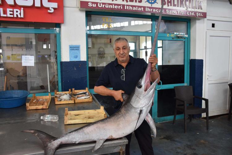 FİYATLAR YARI YARIYA DÜŞTÜ