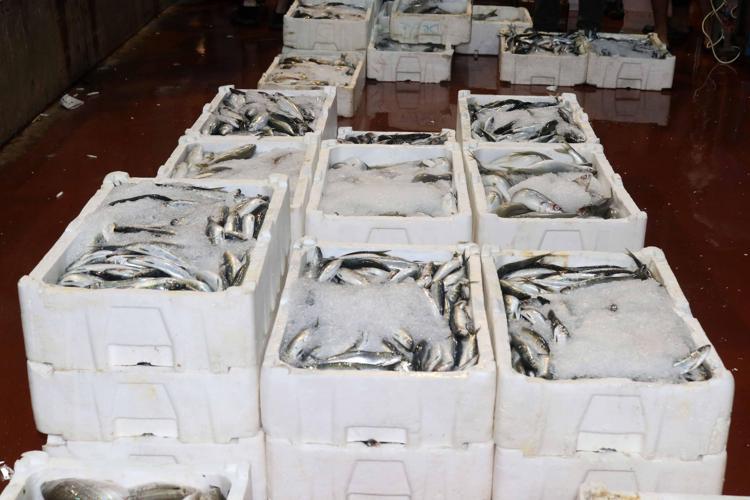 BALIK KIRMIZI ETE GÖRE DAHA HESAPLI