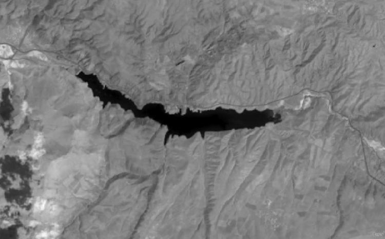 ‘CANLILARIN HABİTATLARI YOK OLUYOR’