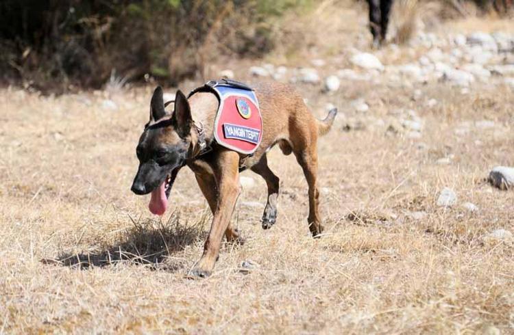 15 GÜN BOYUNCA ÇIKIŞ NOKTASINI BELİRLEYEBİLİR