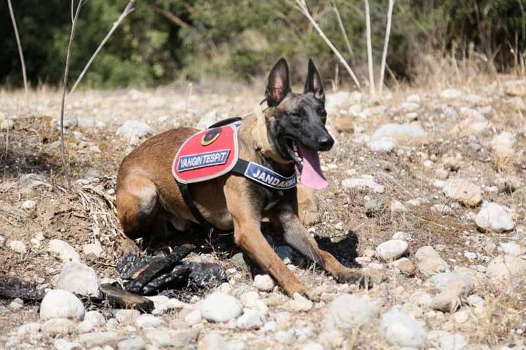 EĞİTİMLER DOĞUMLA BAŞLIYOR