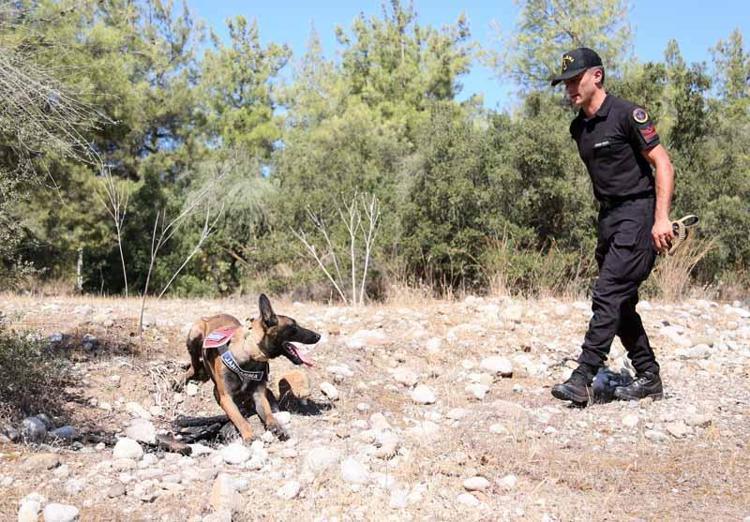 JANDARMA BİRİMLERİ YANGINLARDA GÖREV ALDI