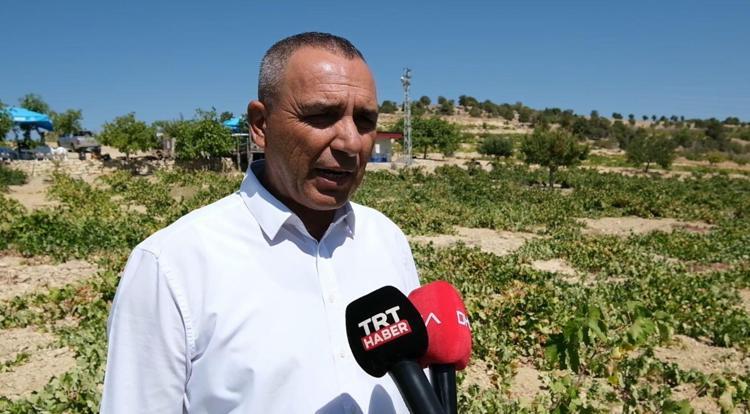 ZİRAAT ODASINDAN TEKNİK DESTEK