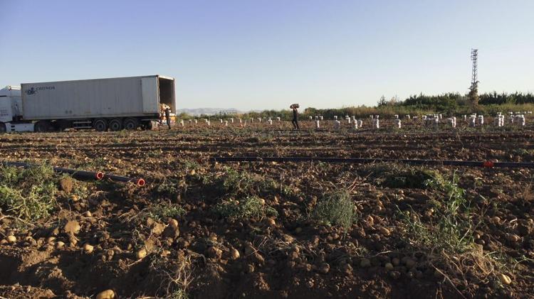 ‘PAZAR OLMADAN EKİM, ÇİFTÇİYE YÜK OLUYOR’