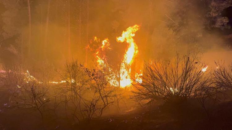ORMANLIK ALANDA ÇIKAN İKİNCİ YANGINDA KUNDAKLAMA İDDİASI
