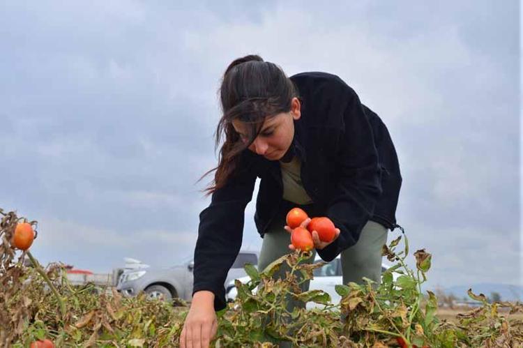 DERS ÇALIŞIP, OYUN OYNUYORLAR
