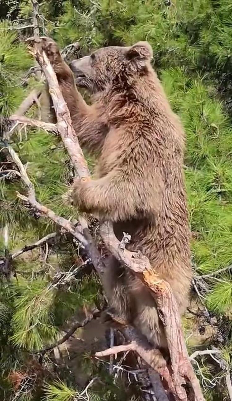 ‘SAĞLIK VE MUTLULUK GÖSTERGESİ’