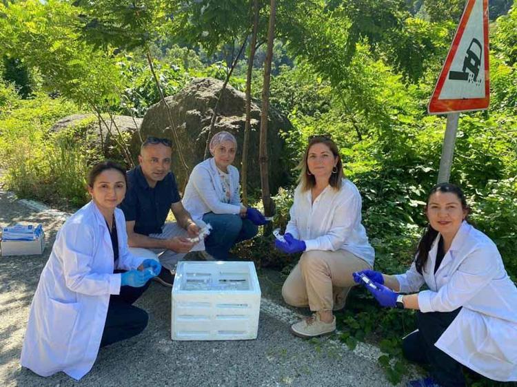 DOĞANIN DENGESİNİ BOZMADAN KONTROL ALTINA ALIYORUZ