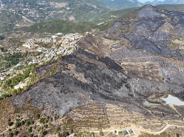 YEŞİL BANT ÖNLEMİ GELİYOR