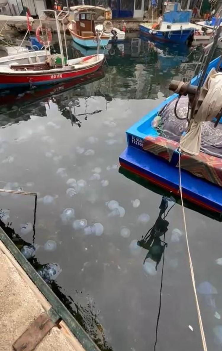 DERİNLERDE DEVAM EDİYOR