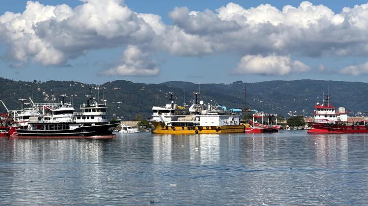 ‘ARTIK HAMSİ BOL OLUR’