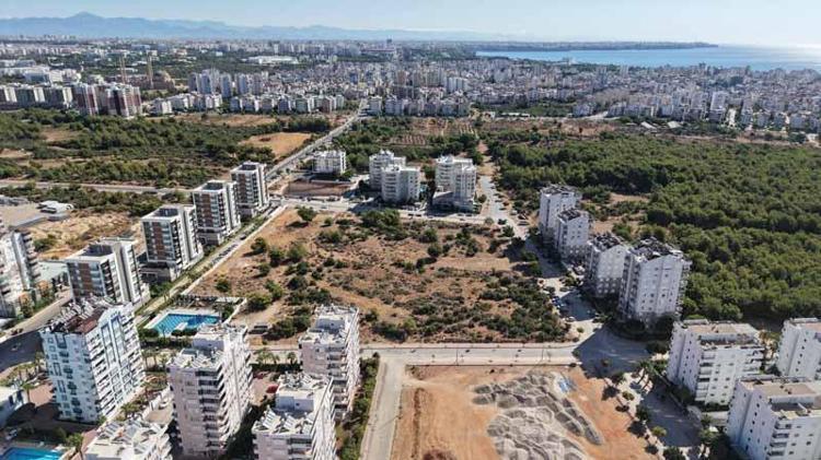 DAVALIK ORMAN ALANLARI İÇİN DOĞAL SİT KARARI