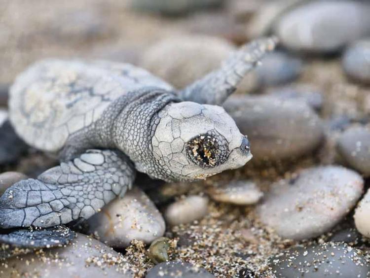 BAKANLIKLAR, BETUYAB VE ÖZEL SEKTÖR DESTEKLİ