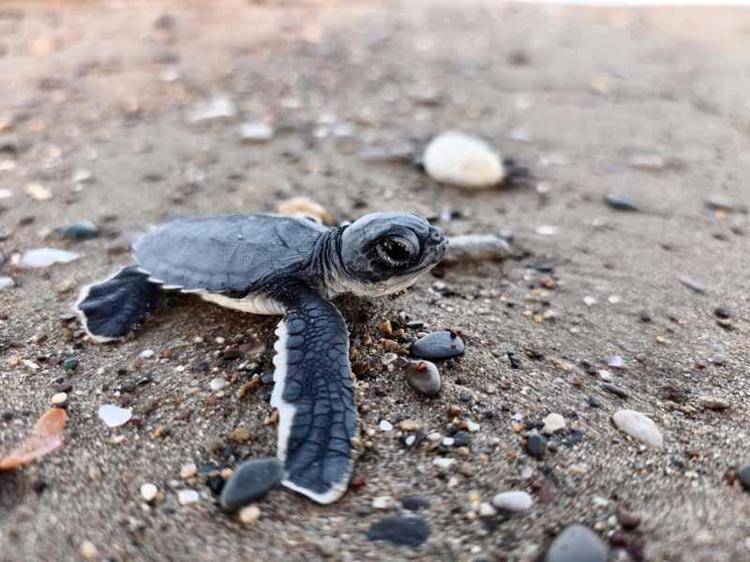 27 YIL KOLAY BİR RAKAM DEĞİL