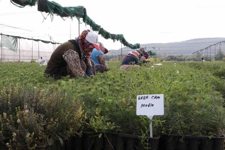 GELECEĞE NEFES OLMAK İÇİN ÜRETİYORUZ