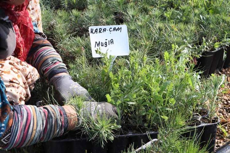 İLK YETİŞENLER MUĞLAYA GÖNDERİLECEK