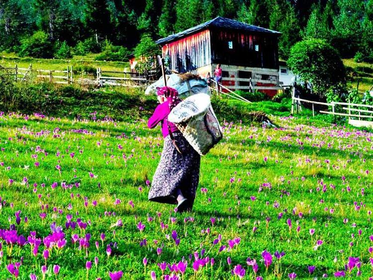 GERİ DÖNÜŞÜ ZOR OLABİLİYOR